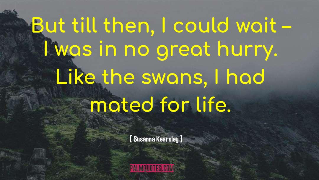 Susanna Kearsley Quotes: But till then, I could