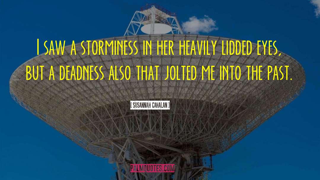 Susannah Cahalan Quotes: I saw a storminess in