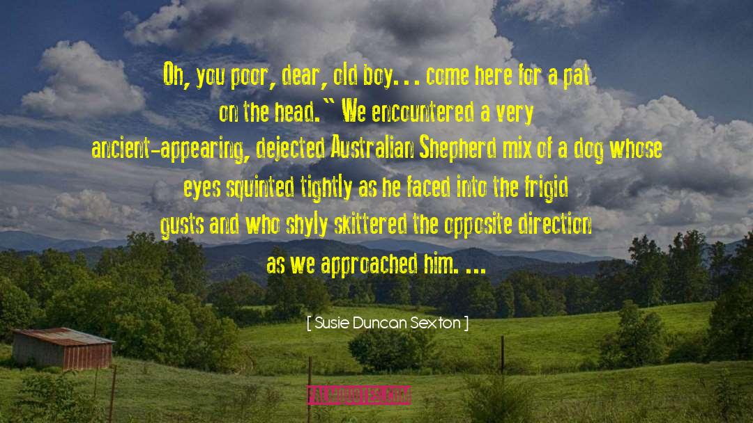 Susie Duncan Sexton Quotes: Oh, you poor, dear, old