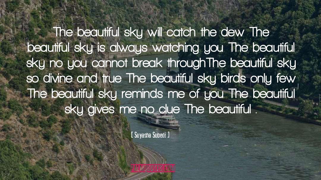 Suyasha Subedi Quotes: The beautiful sky will catch