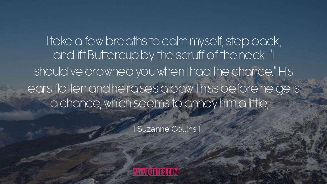 Suzanne Collins Quotes: I take a few breaths