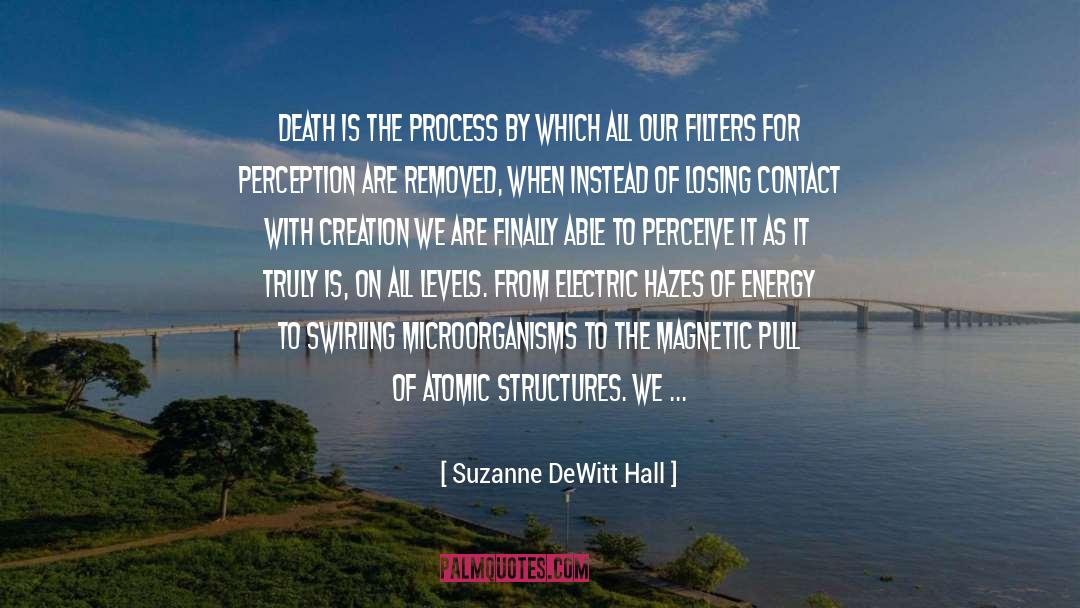 Suzanne DeWitt Hall Quotes: Death is the process by