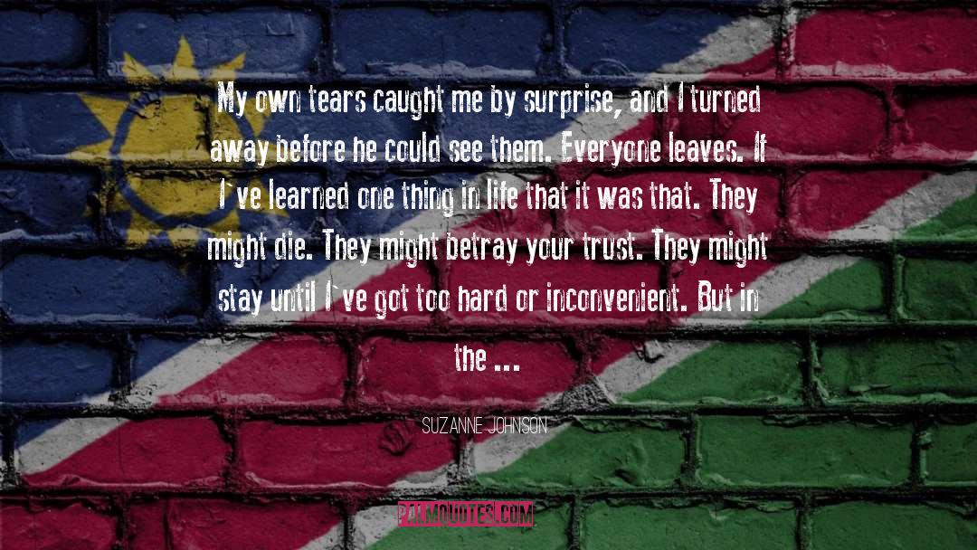 Suzanne Johnson Quotes: My own tears caught me