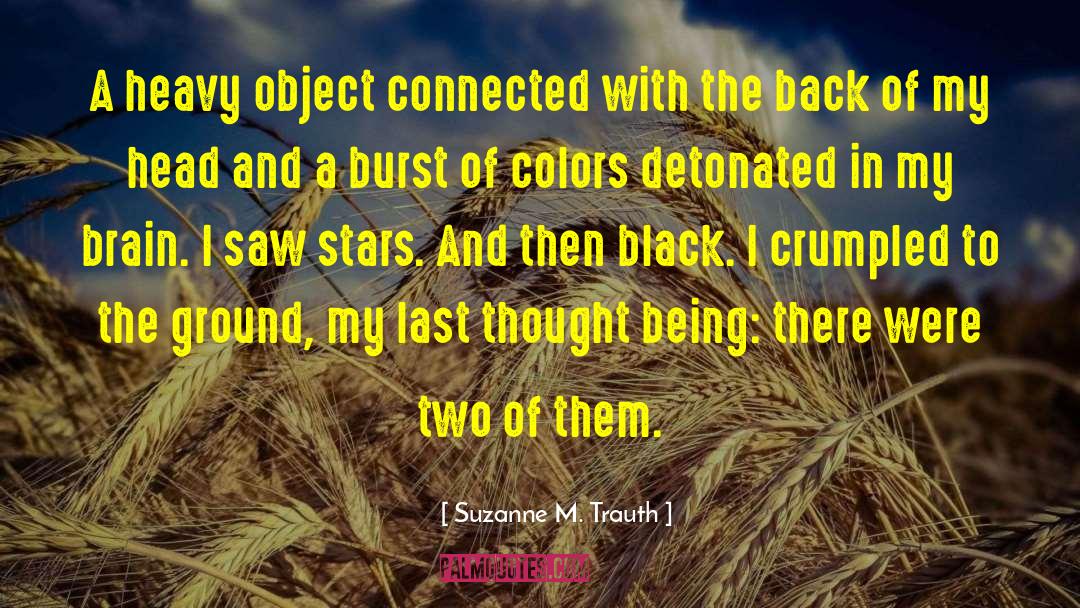 Suzanne M. Trauth Quotes: A heavy object connected with