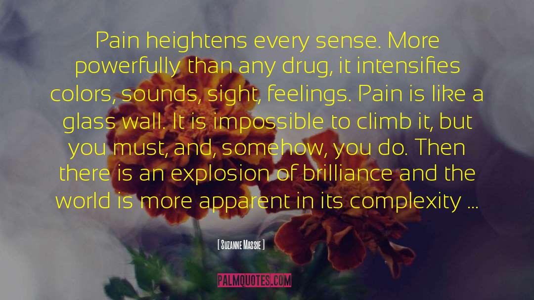 Suzanne Massie Quotes: Pain heightens every sense. More