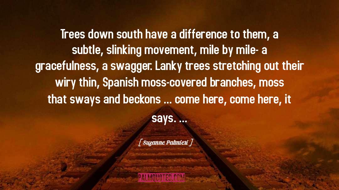 Suzanne Palmieri Quotes: Trees down south have a