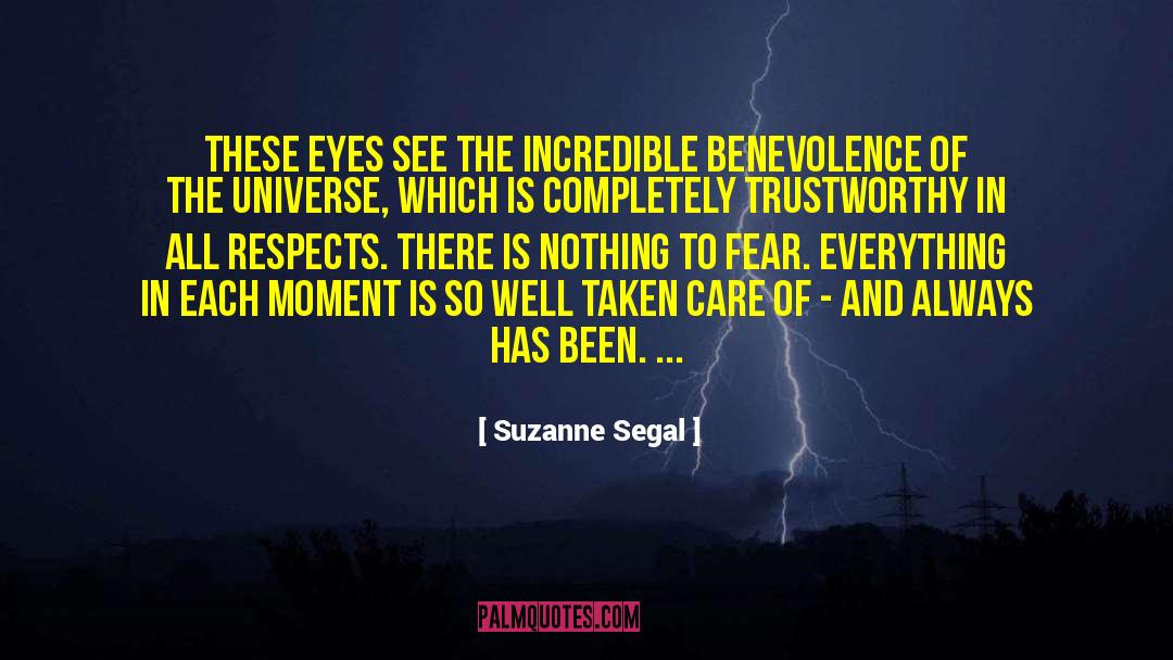 Suzanne Segal Quotes: These eyes see the incredible