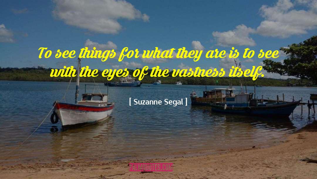 Suzanne Segal Quotes: To see things for what