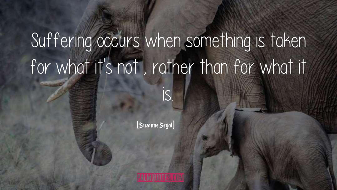 Suzanne Segal Quotes: Suffering occurs when something is