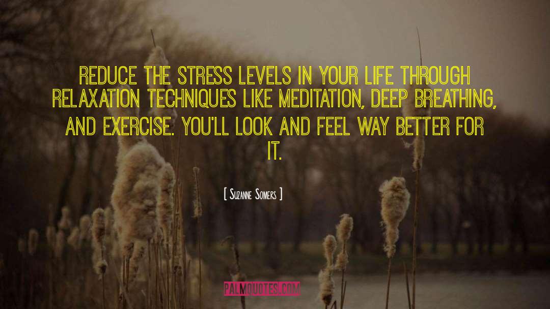 Suzanne Somers Quotes: Reduce the stress levels in