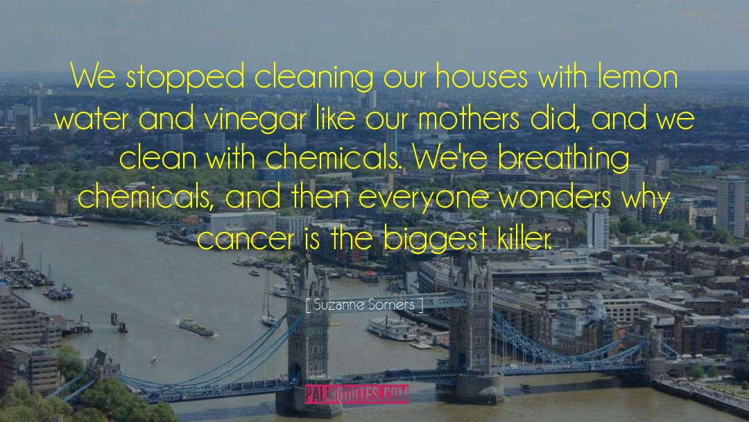 Suzanne Somers Quotes: We stopped cleaning our houses