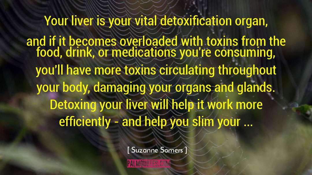 Suzanne Somers Quotes: Your liver is your vital