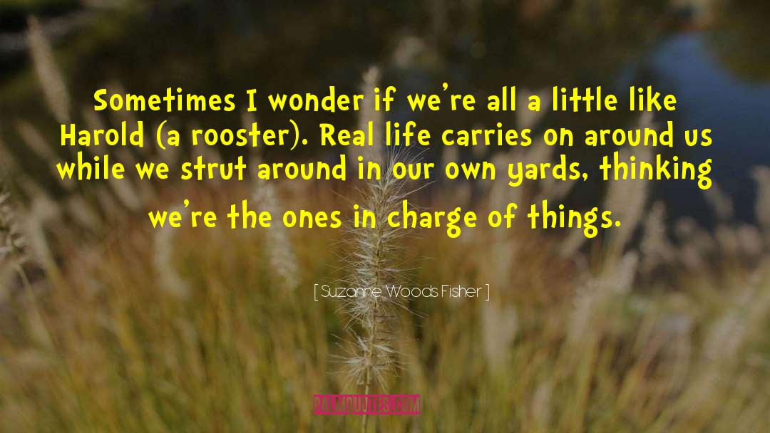 Suzanne Woods Fisher Quotes: Sometimes I wonder if we're