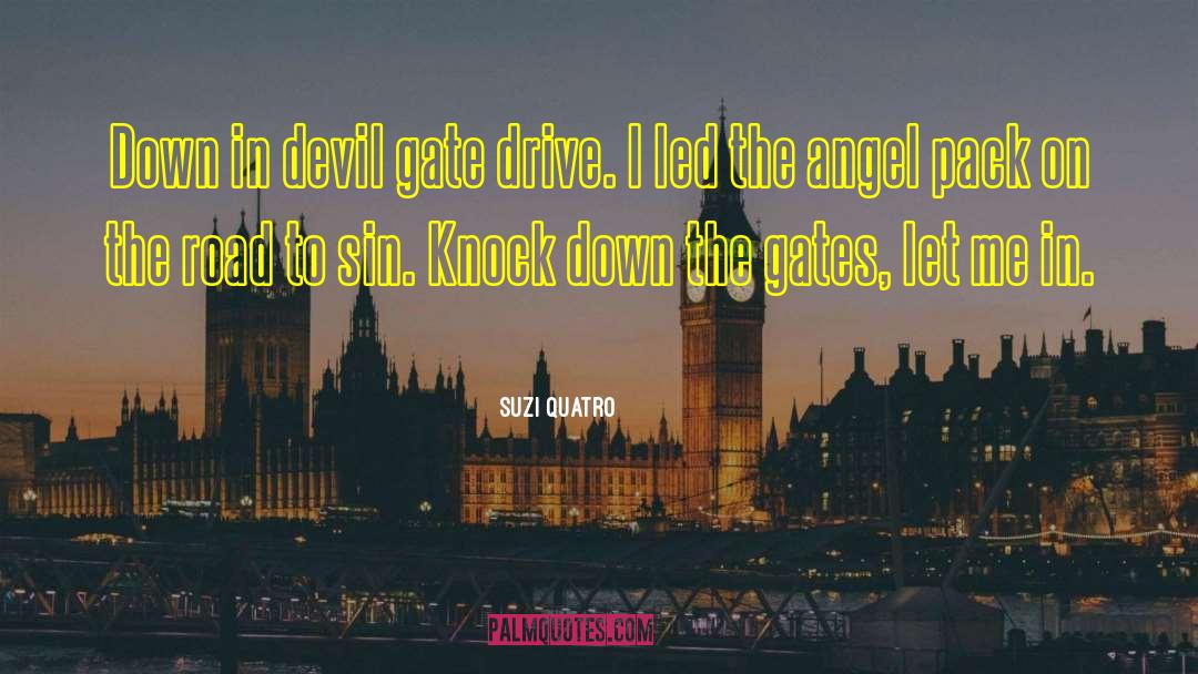 Suzi Quatro Quotes: Down in devil gate drive.