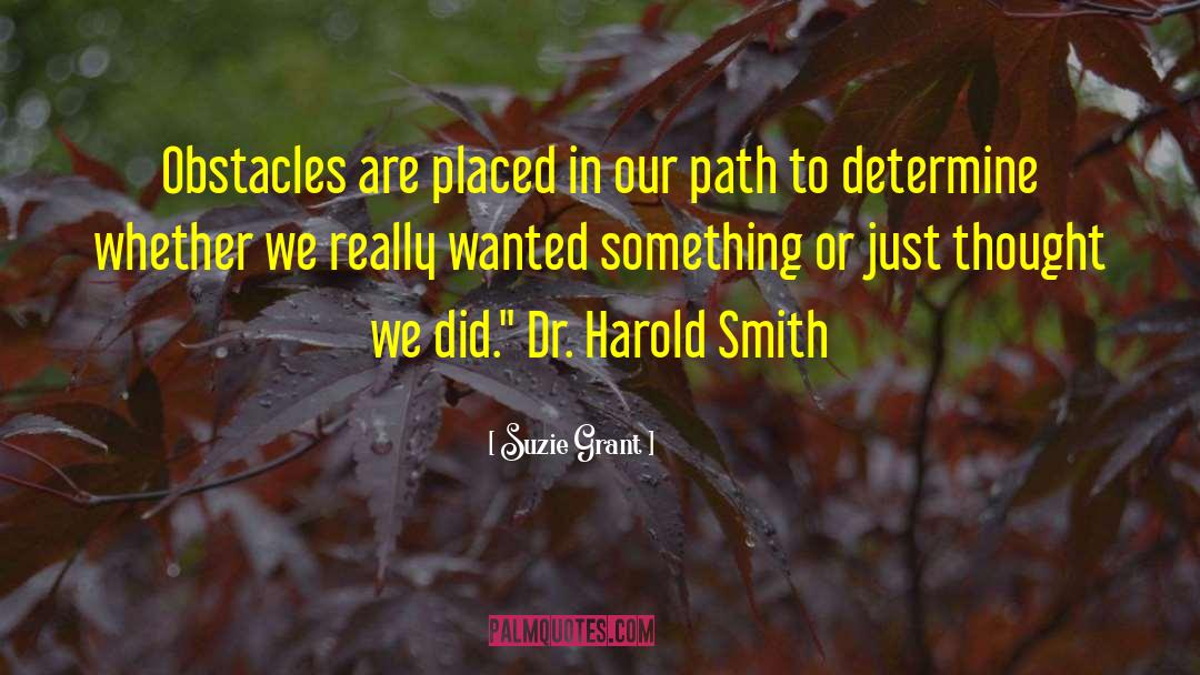 Suzie Grant Quotes: Obstacles are placed in our