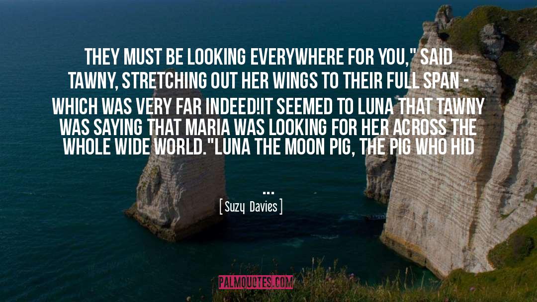 Suzy  Davies Quotes: They must be looking everywhere