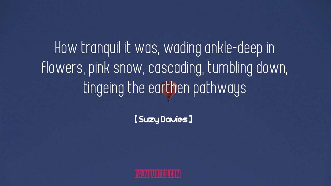 Suzy  Davies Quotes: How tranquil it was, wading