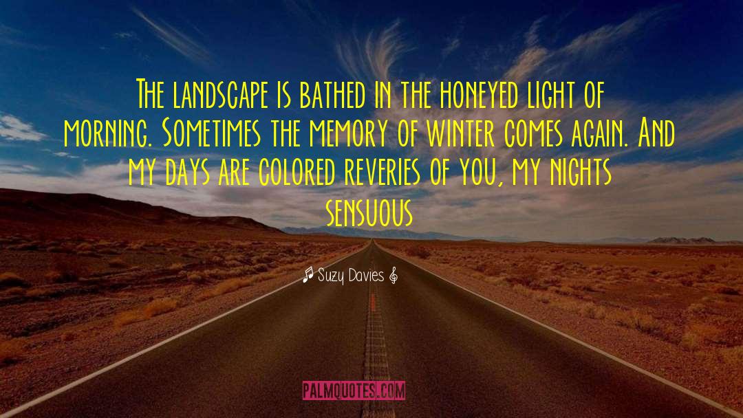 Suzy  Davies Quotes: The landscape is bathed in