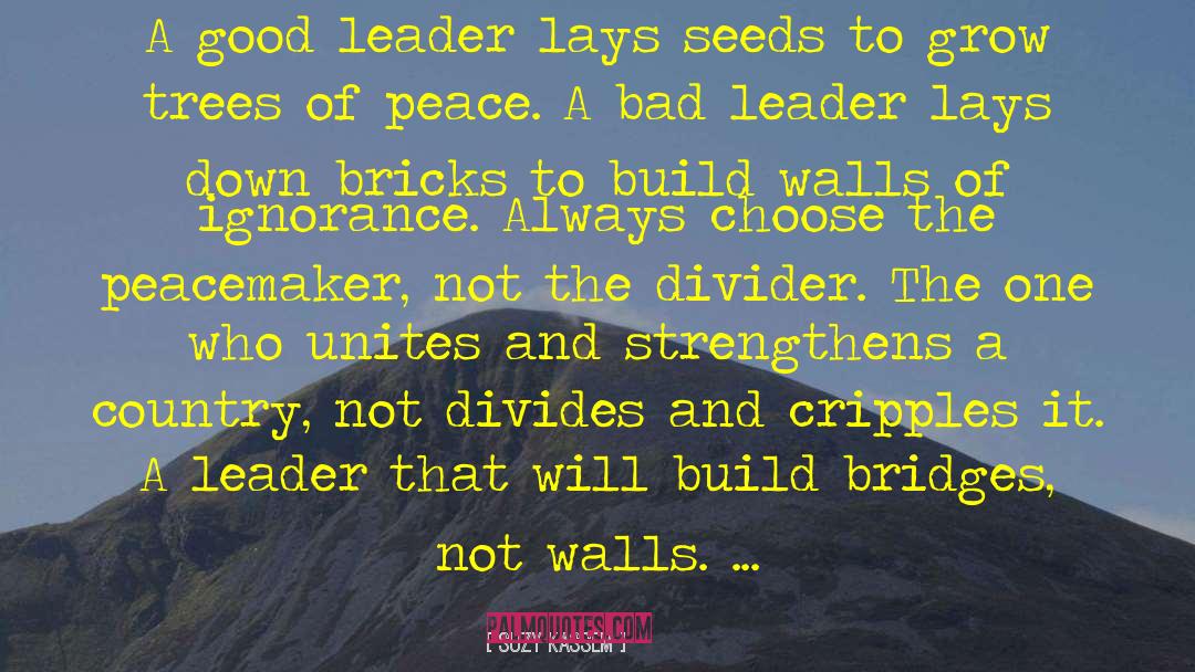 Suzy Kassem Quotes: A good leader lays seeds