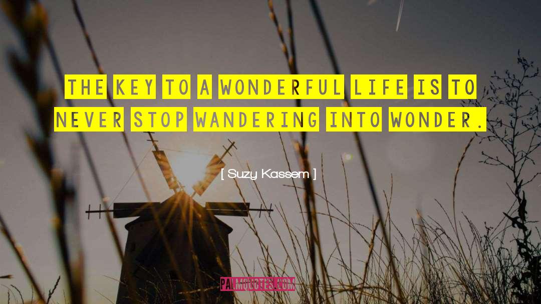 Suzy Kassem Quotes: The key to a wonderful
