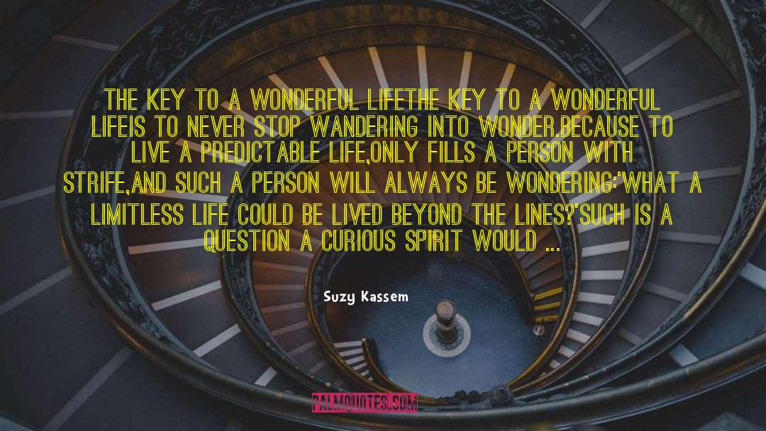 Suzy Kassem Quotes: THE KEY TO A WONDERFUL