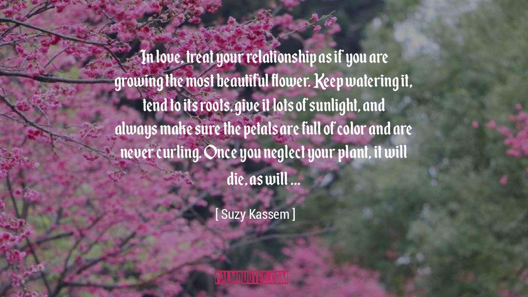 Suzy Kassem Quotes: In love, treat your relationship