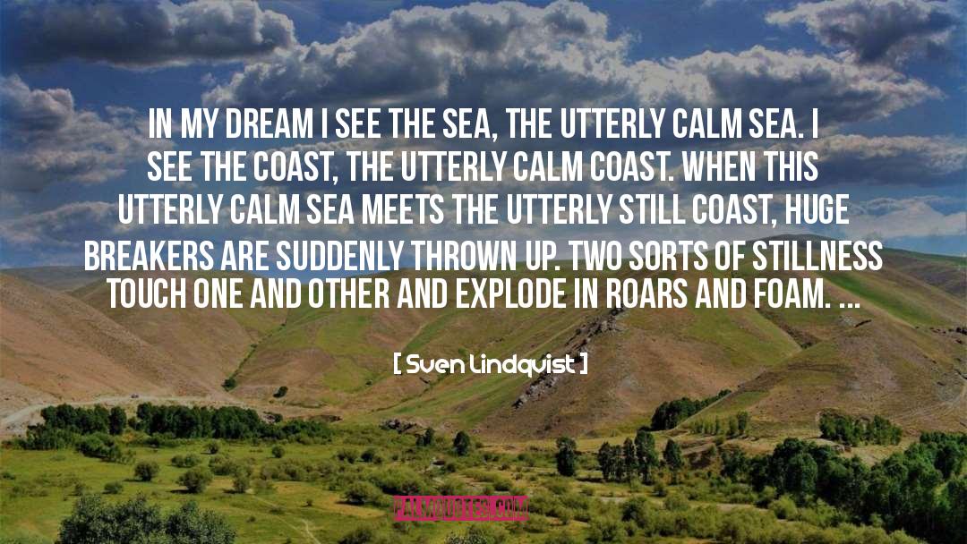Sven Lindqvist Quotes: In my dream I see