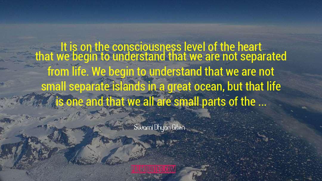 Swami Dhyan Giten Quotes: It is on the consciousness