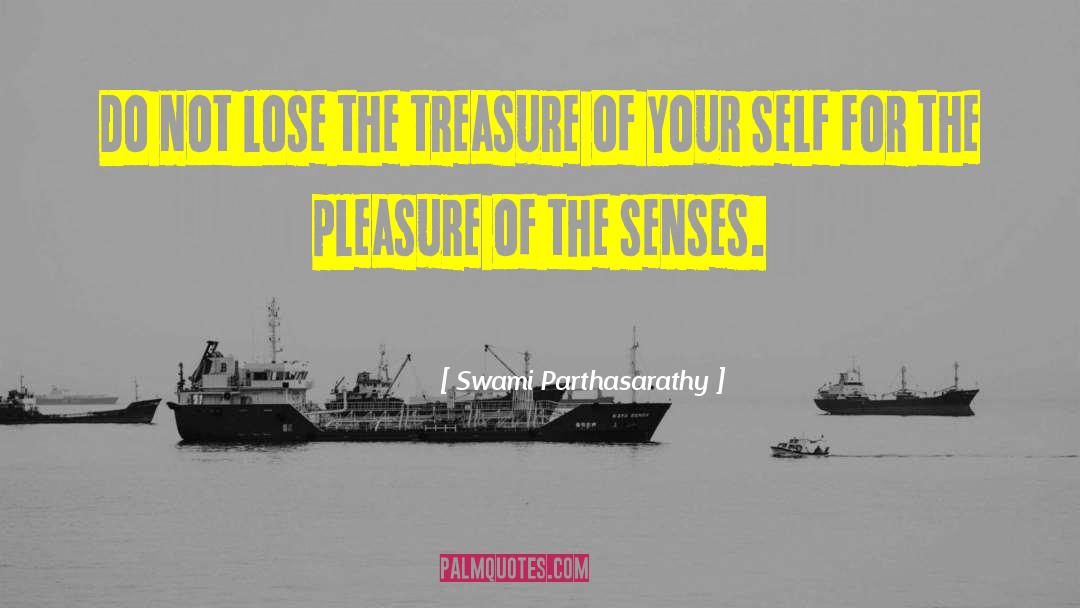 Swami Parthasarathy Quotes: Do not lose the treasure