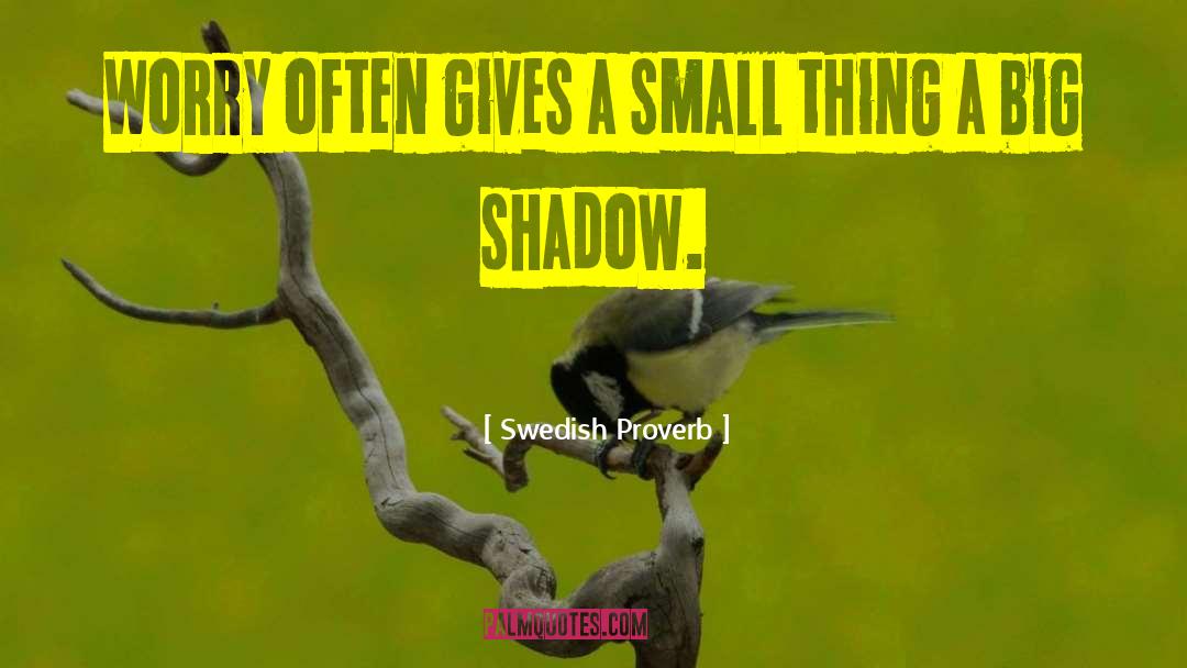 Swedish Proverb Quotes: Worry often gives a small