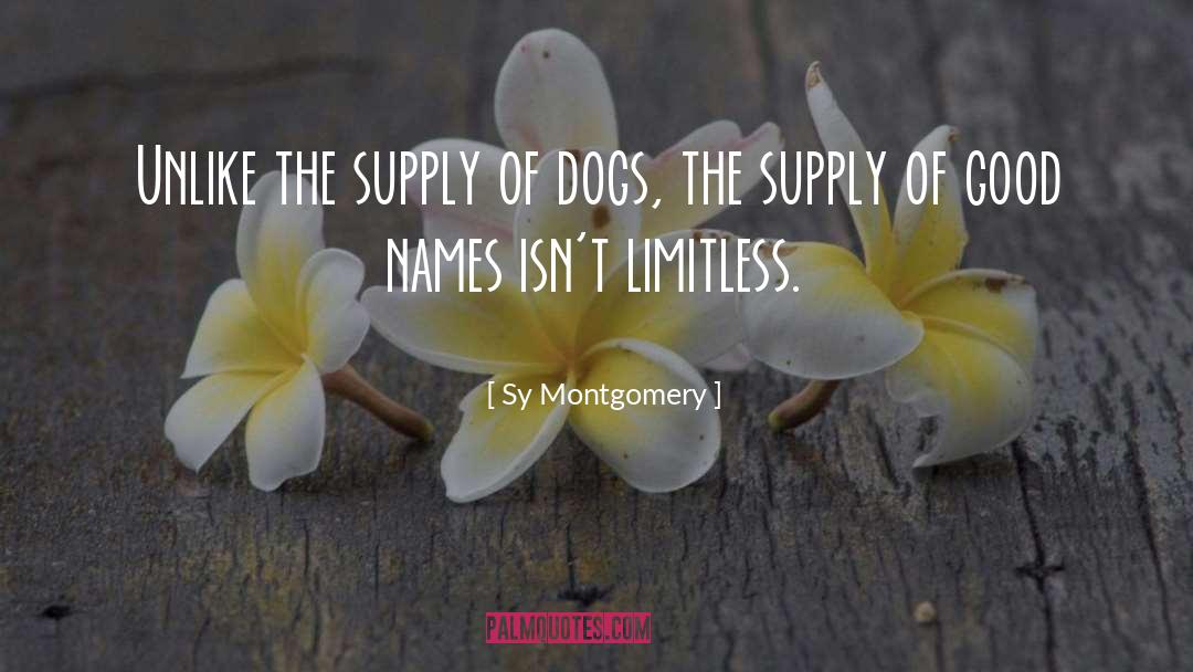 Sy Montgomery Quotes: Unlike the supply of dogs,