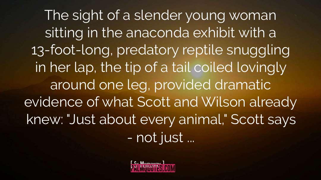 Sy Montgomery Quotes: The sight of a slender