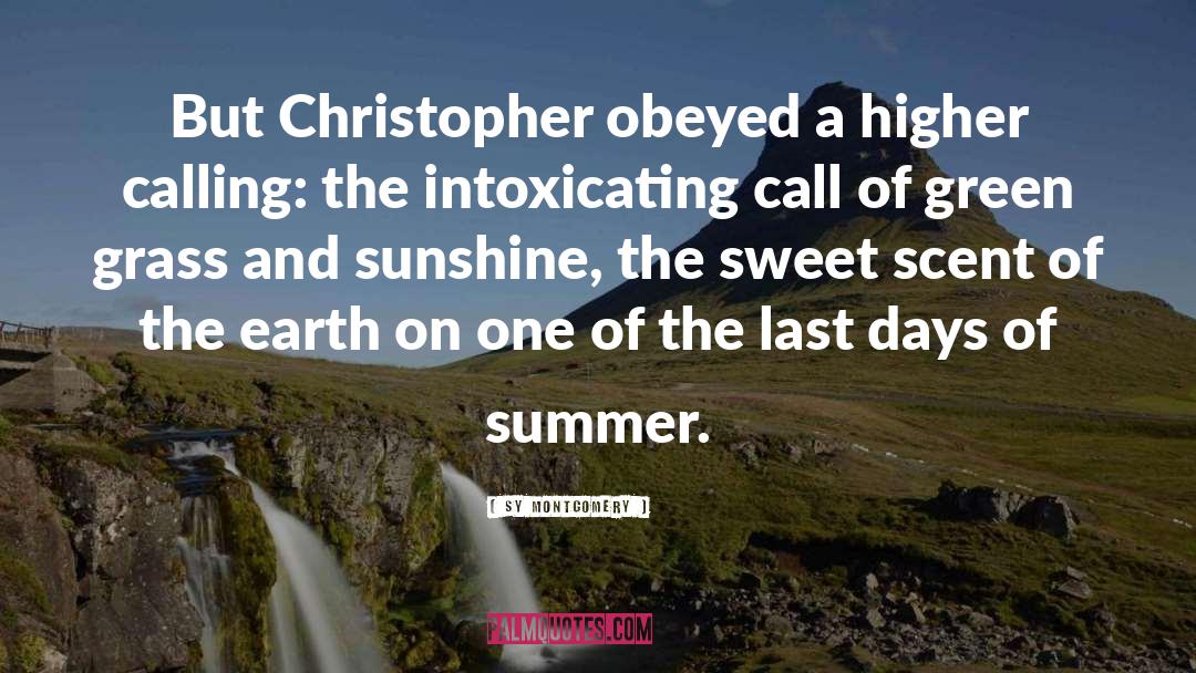 Sy Montgomery Quotes: But Christopher obeyed a higher