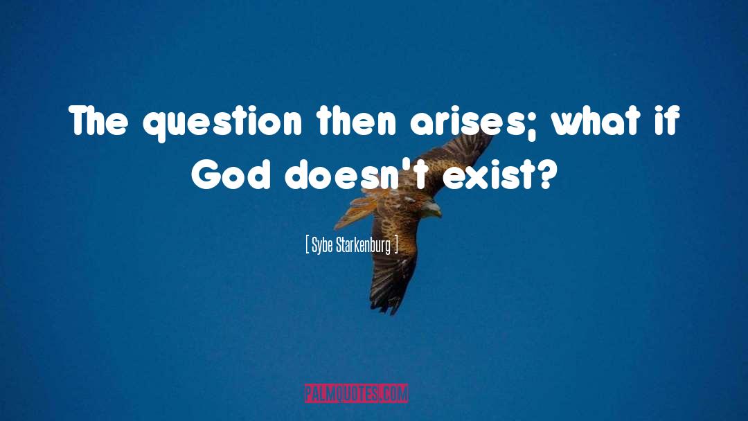 Sybe Starkenburg Quotes: The question then arises; what