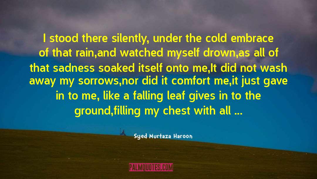 Syed Murtaza Haroon Quotes: I stood there silently, under