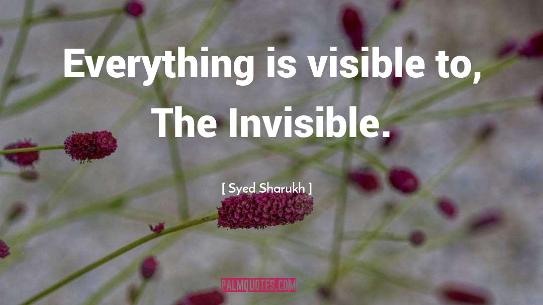 Syed Sharukh Quotes: Everything is visible to, The