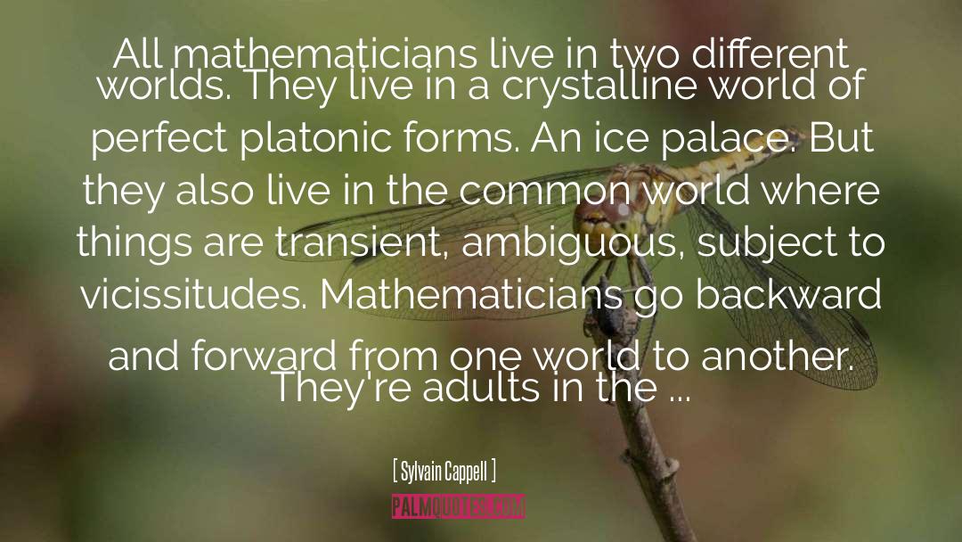 Sylvain Cappell Quotes: All mathematicians live in two