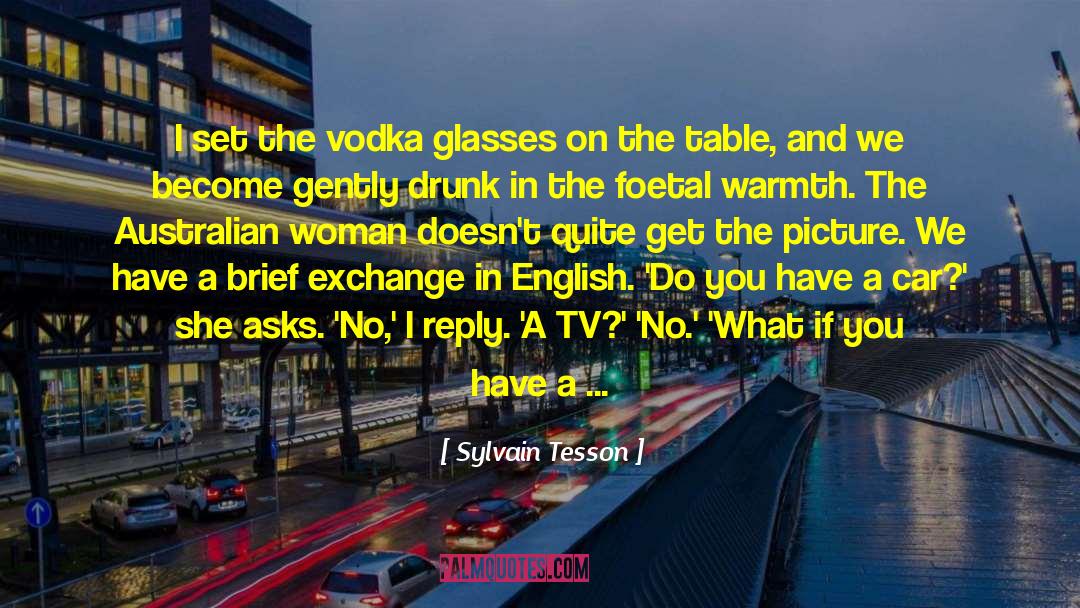 Sylvain Tesson Quotes: I set the vodka glasses