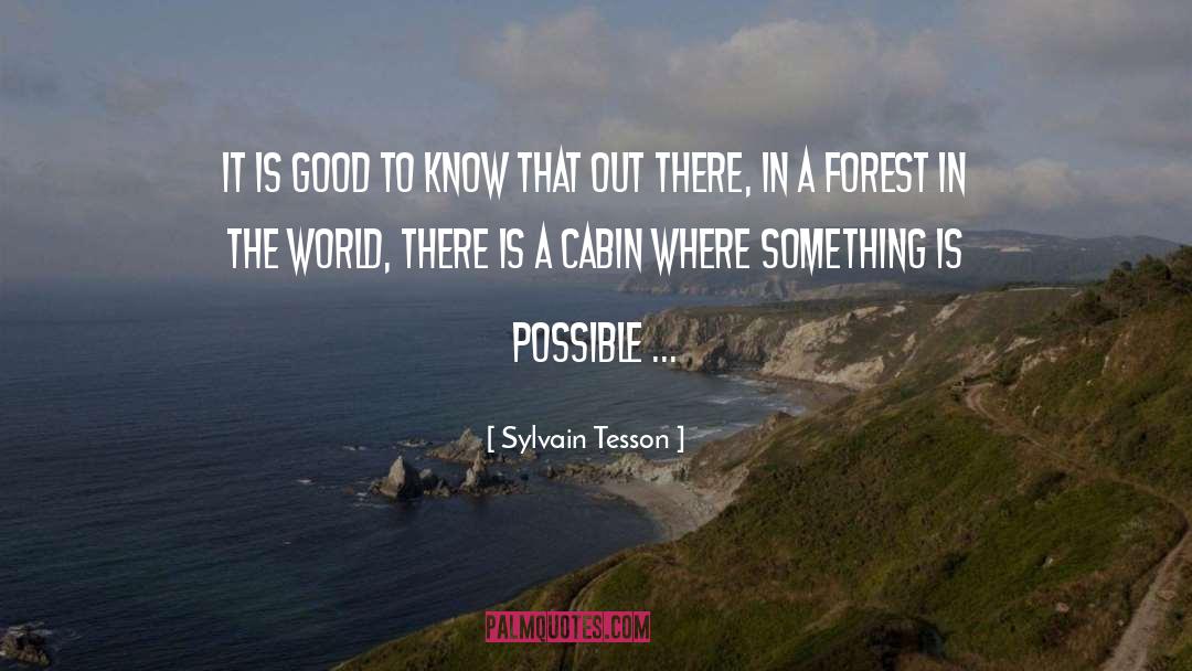 Sylvain Tesson Quotes: It is good to know