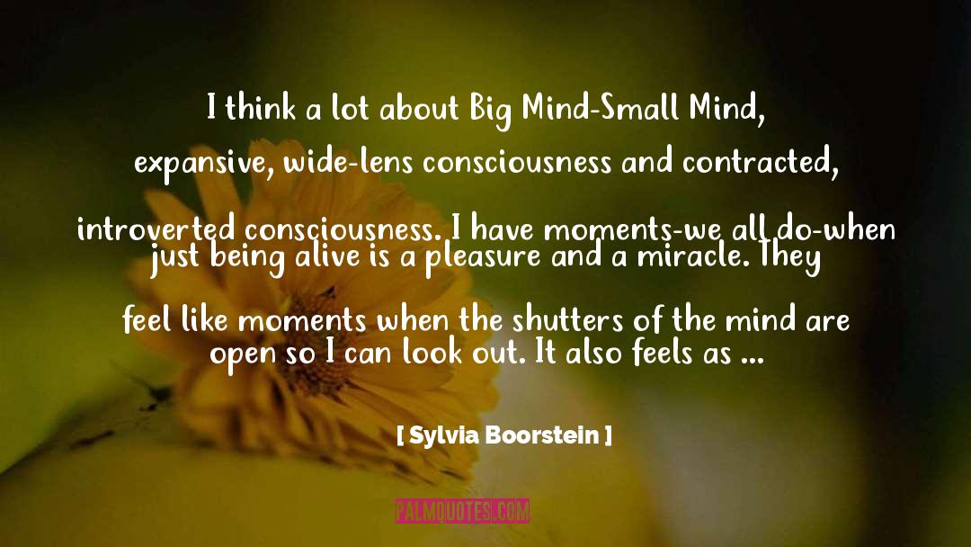 Sylvia Boorstein Quotes: I think a lot about