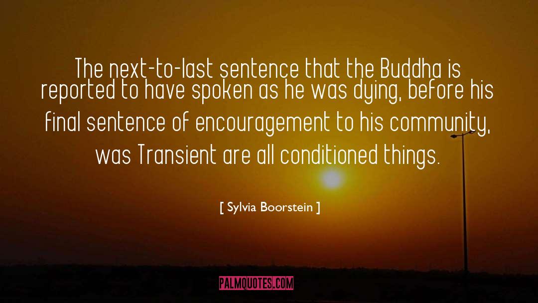 Sylvia Boorstein Quotes: The next-to-last sentence that the