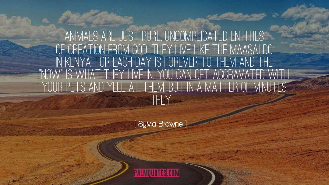 Sylvia Browne Quotes: Animals are just pure, uncomplicated