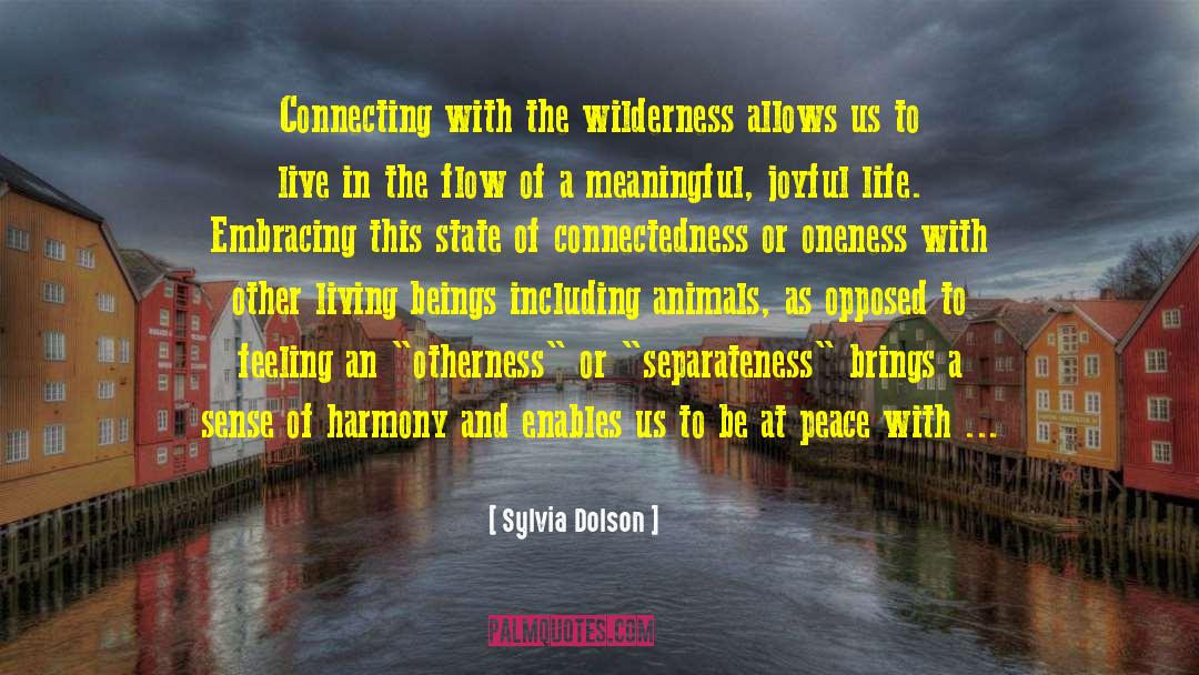 Sylvia Dolson Quotes: Connecting with the wilderness allows