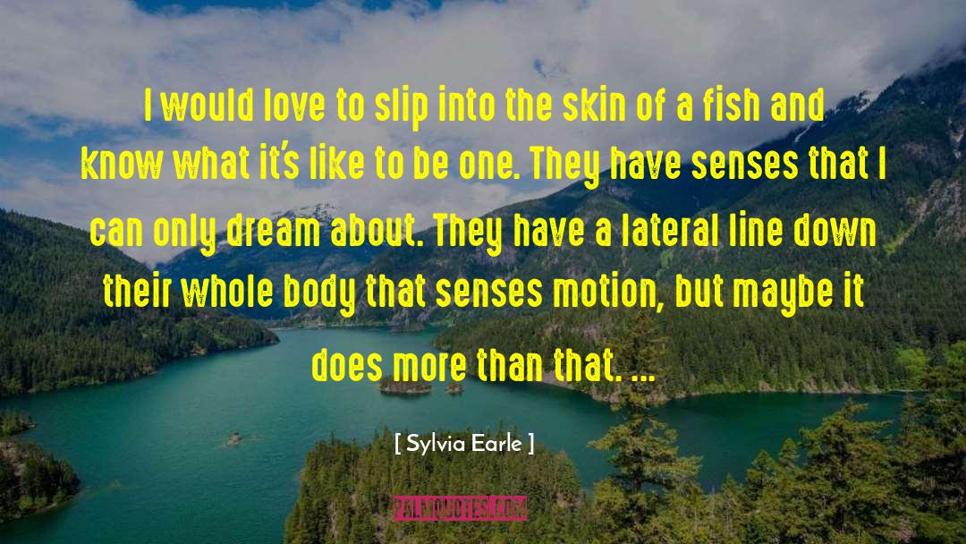 Sylvia Earle Quotes: I would love to slip