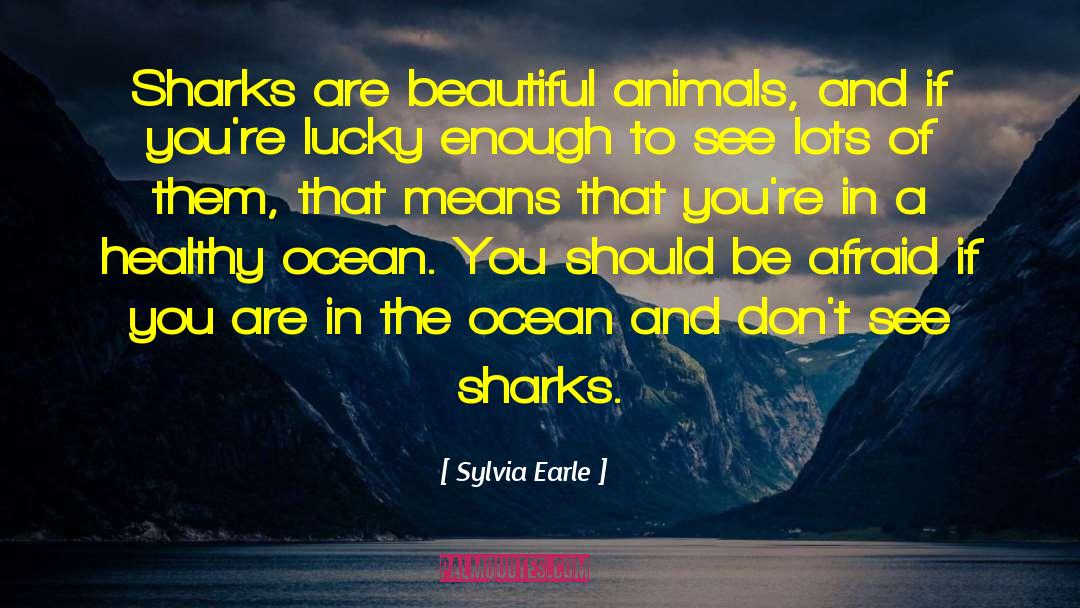 Sylvia Earle Quotes: Sharks are beautiful animals, and