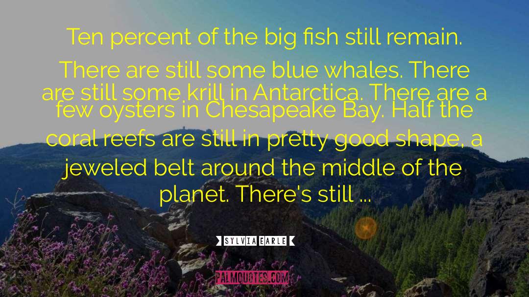 Sylvia Earle Quotes: Ten percent of the big