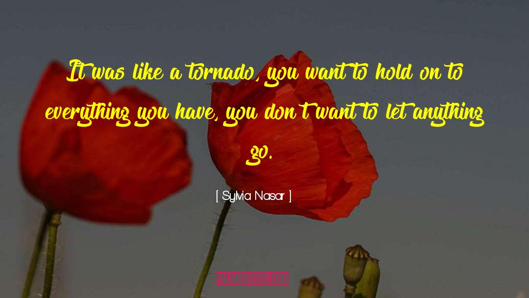 Sylvia Nasar Quotes: It was like a tornado,