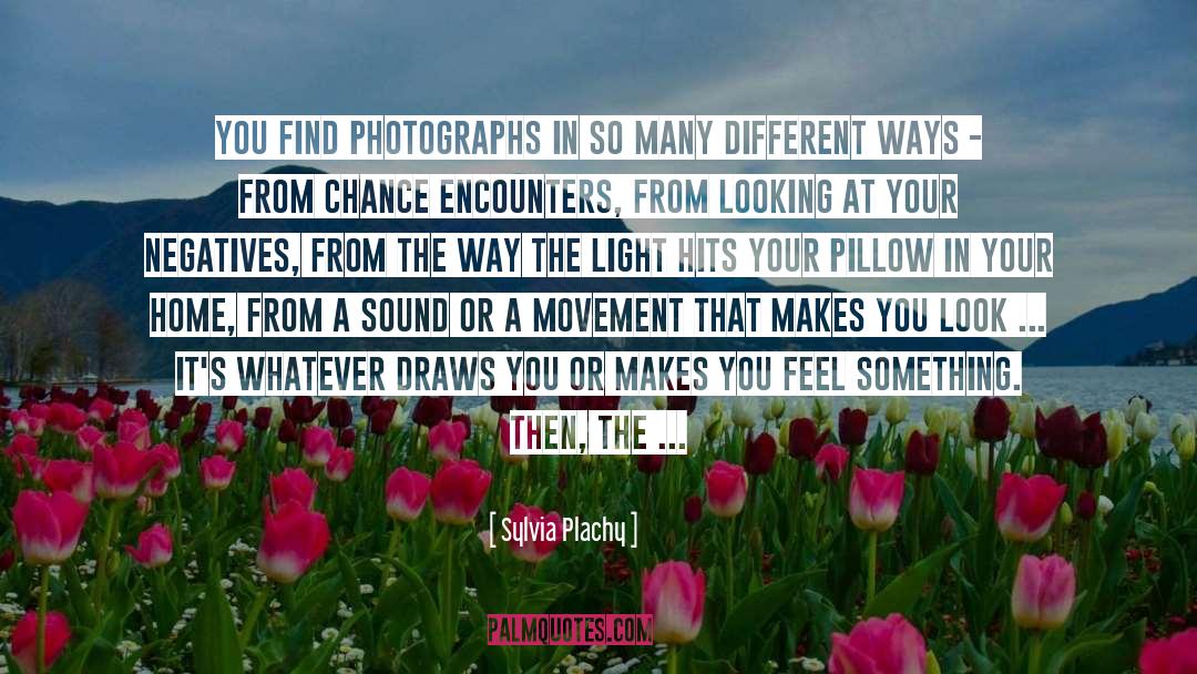 Sylvia Plachy Quotes: You find photographs in so