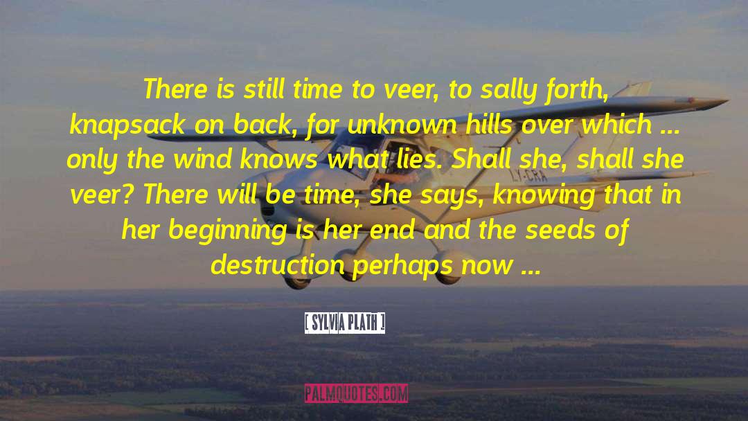 Sylvia Plath Quotes: There is still time to