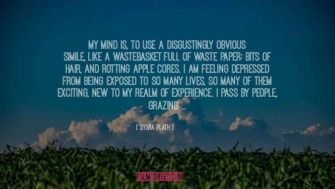 Sylvia Plath Quotes: My mind is, to use